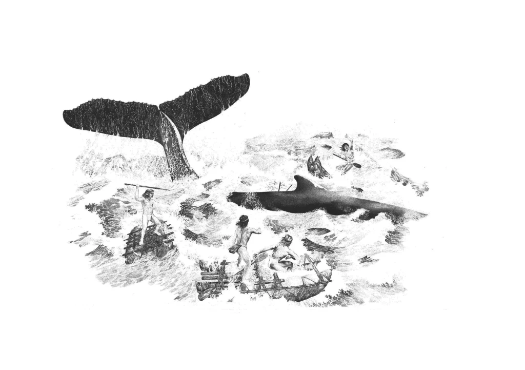 “Cazando ballenas”. Ilustración de Eduardo Osorio, fotografiada y publicada en “Pescadores de la niebla, los changos y sus ancestro” por el Museo Chileno de Arte Precolombino. Fotografía de Fernando Maldonado