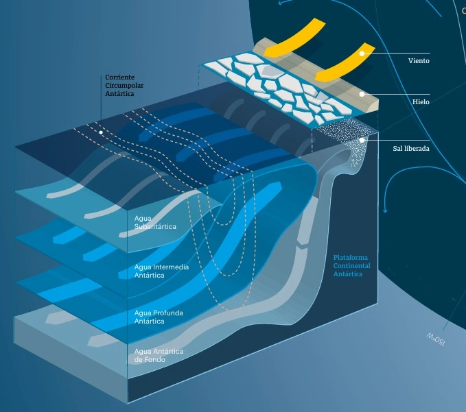 Masas-de-agua-del-oceano-austral.webp